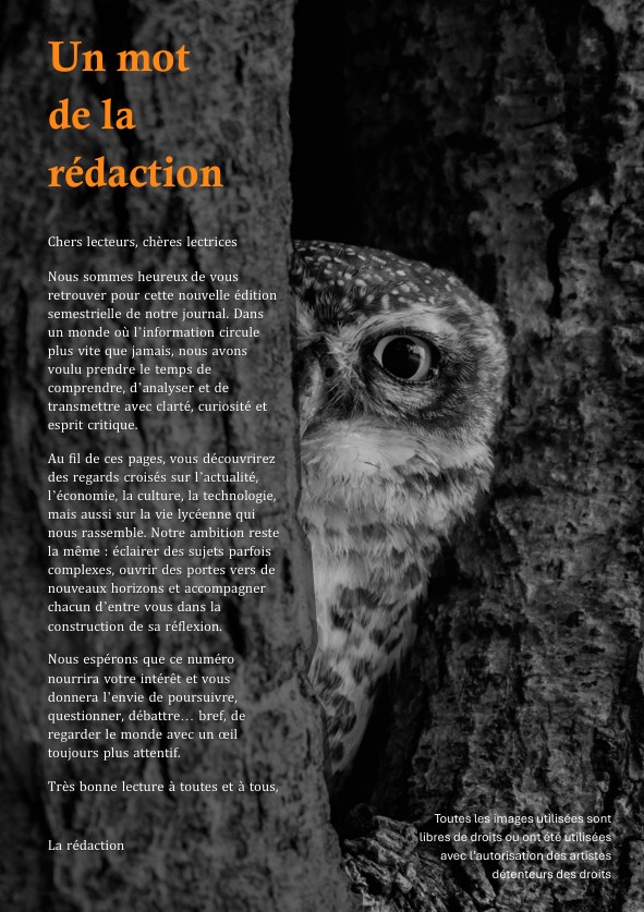 Photo en noir et blanc montrant une chouette